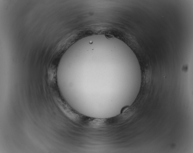 X0000115630138200911241655