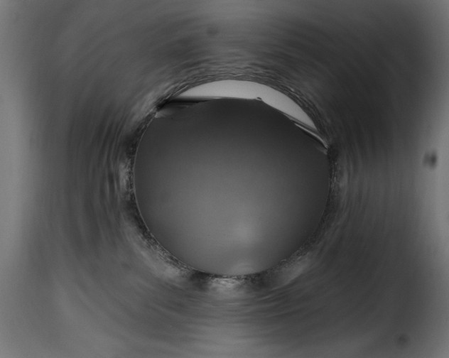 X0000115630139200911241655