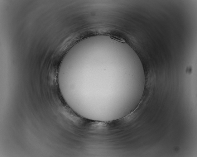 X0000115630140200911241655