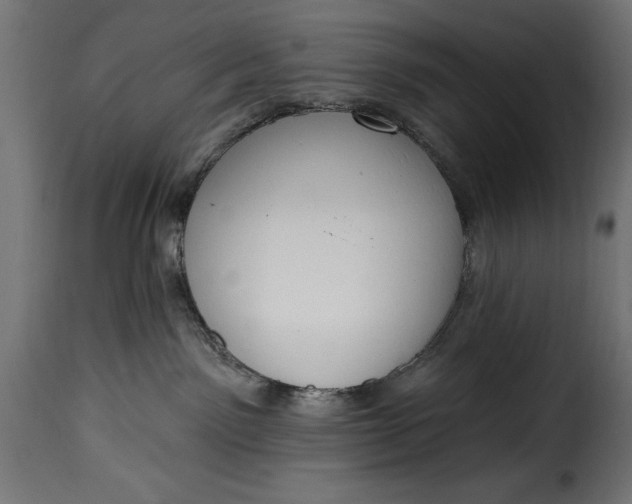 X0000115630141200911241655