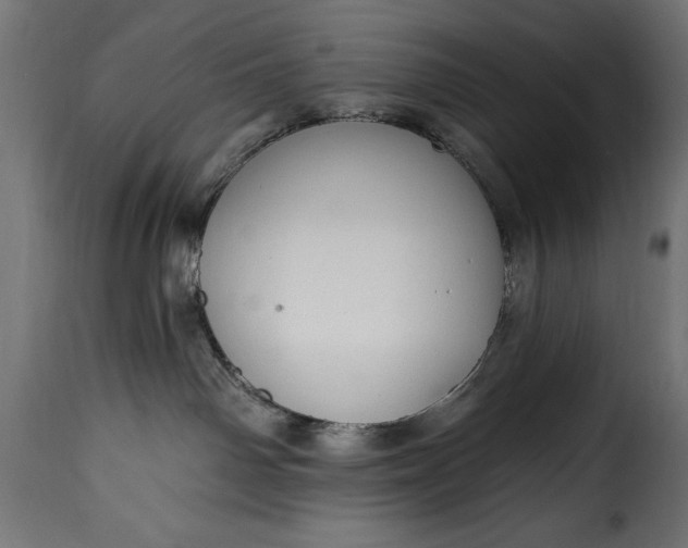 X0000115630142200911241655