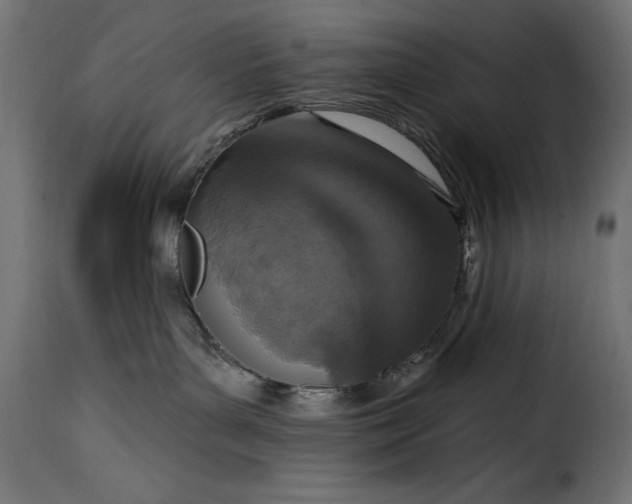 X0000115630143200911241655