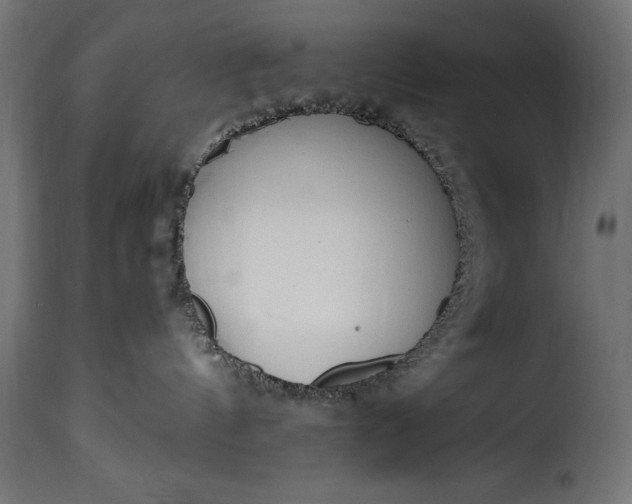 X0000115630144200911241655