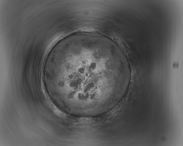 X0000115630145200911241654