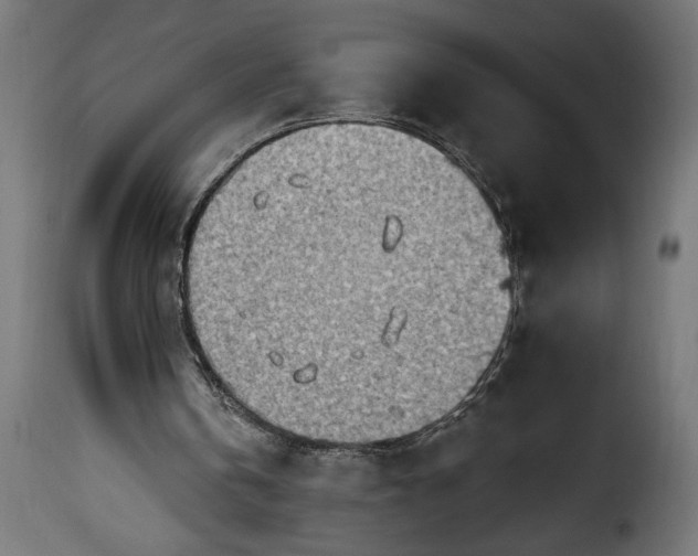 X0000115630146200911241654