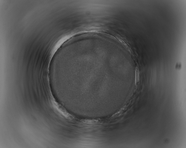 X0000115630147200911241655