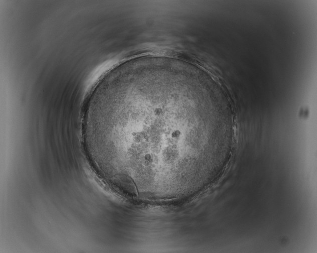 X0000115630149200911241655