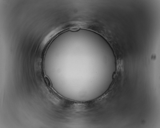 X0000115630150200911241655