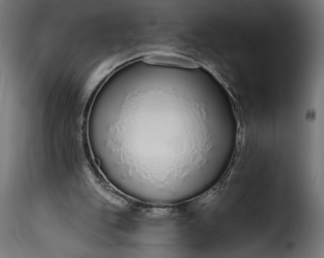 X0000115630151200911241655