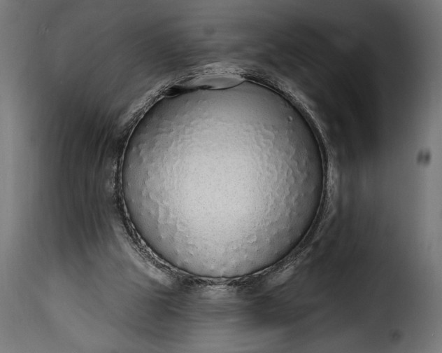 X0000115630153200911241655