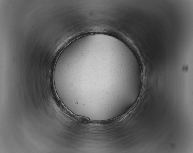 X0000115630154200911241655