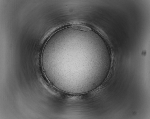 X0000115630155200911241655