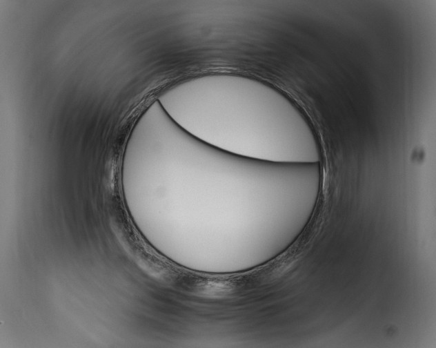 X0000115630157200911241655