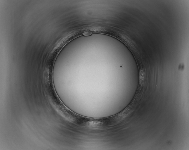 X0000115630158200911241655