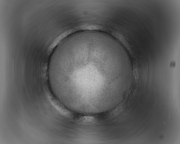 X0000115630159200911241655