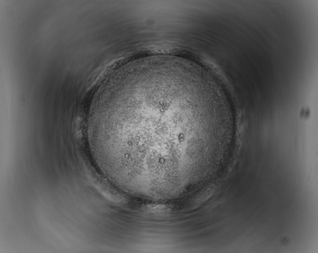 X0000115630161200911241655