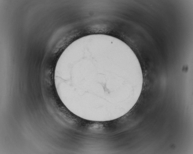 X0000115630162200911241655