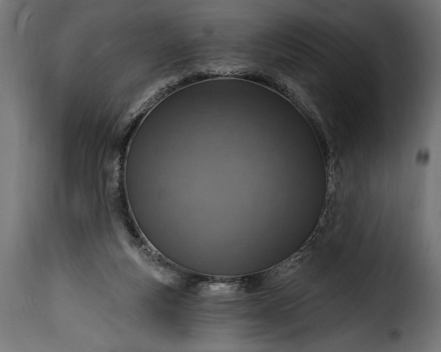 X0000115630163200911241655