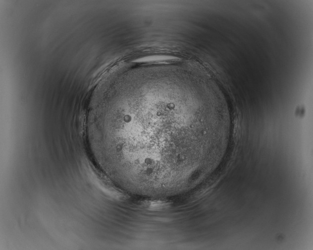 X0000115630165200911241655