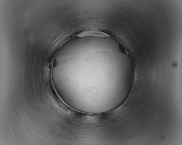 X0000115630166200911241655