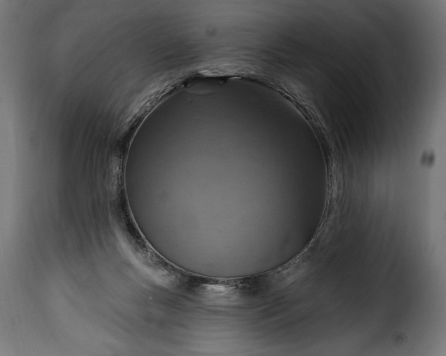 X0000115630167200911241655