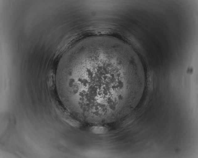 X0000115630169200911241655