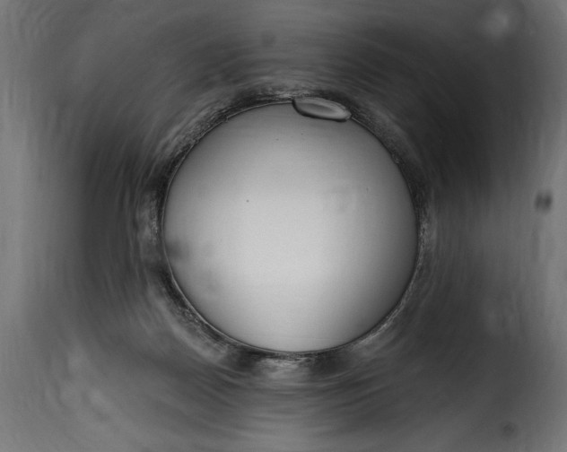 X0000115630170200911241655