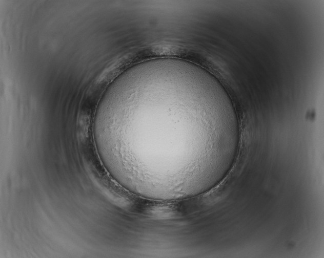 X0000115630171200911241655