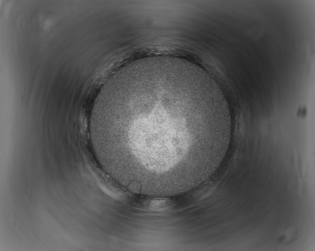 X0000115630173200911241655