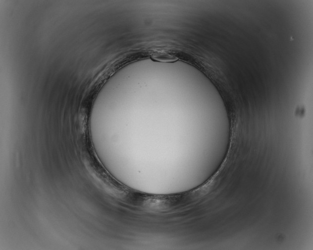 X0000115630174200911241655