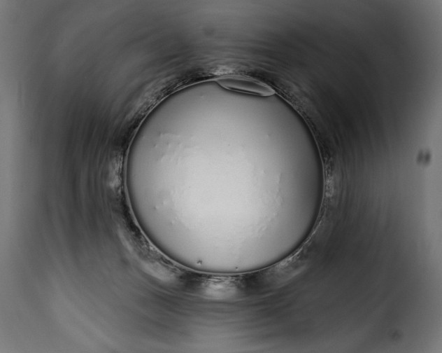 X0000115630175200911241655