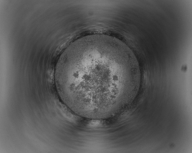 X0000115630177200911241655