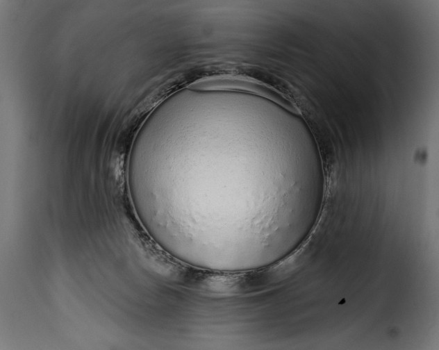 X0000115630178200911241655