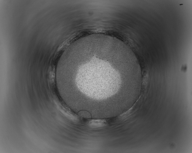 X0000115630179200911241655