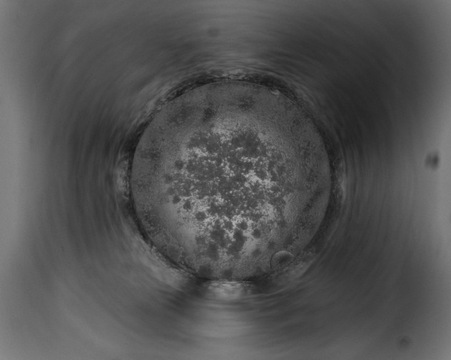 X0000115630181200911241655