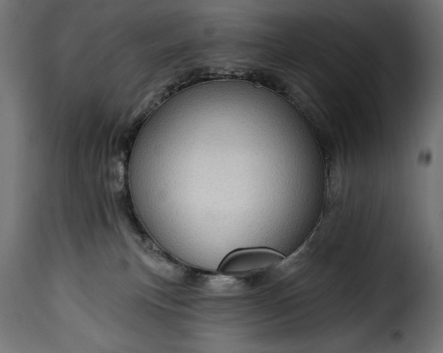 X0000115630183200911241655