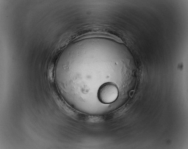 X0000115630185200911241655