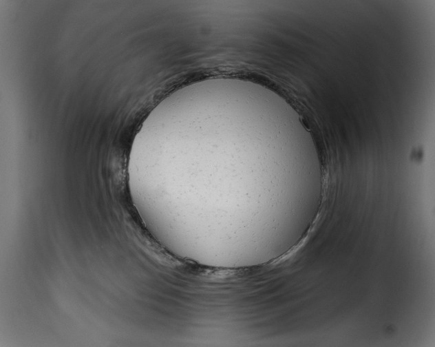 X0000115630186200911241655