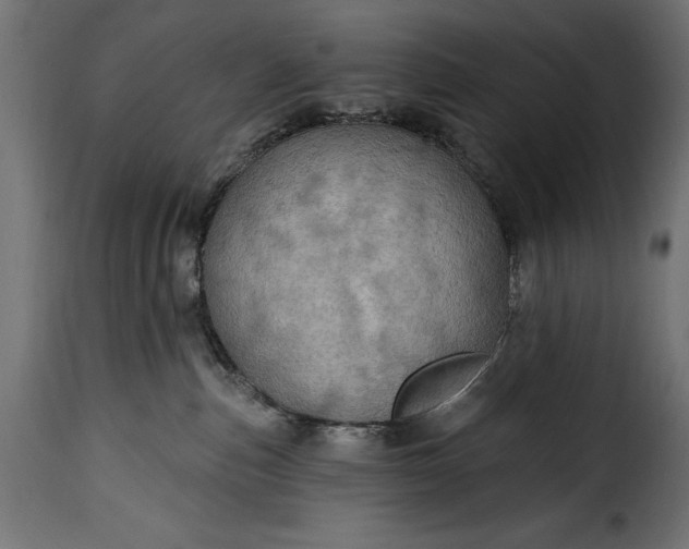 X0000115630187200911241655