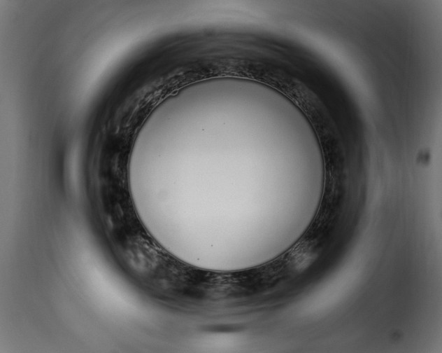 X0000115630189200911241655