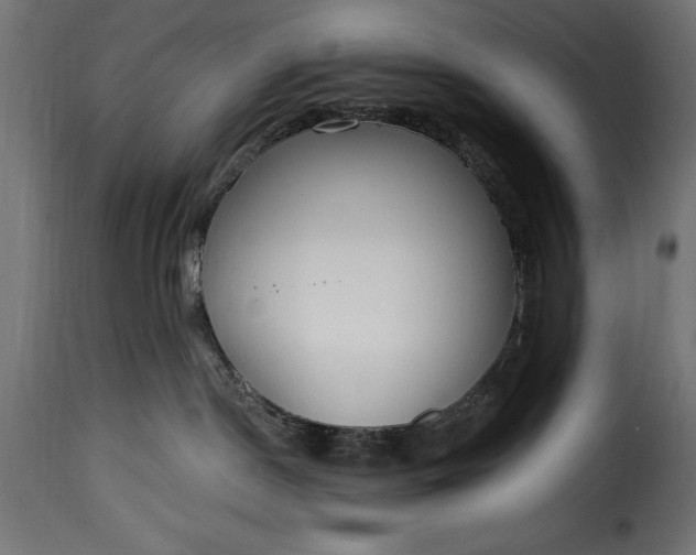 X0000115630190200911241655