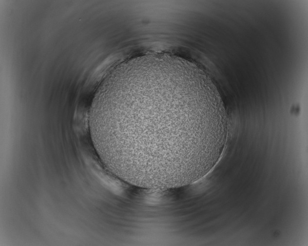 X0000115630191200911241655