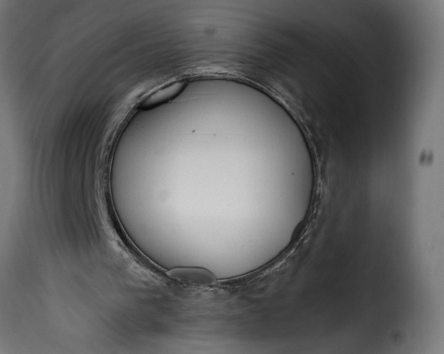 X0000115630193200911241654