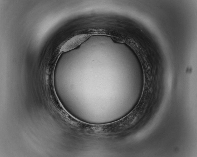 X0000115630194200911241654