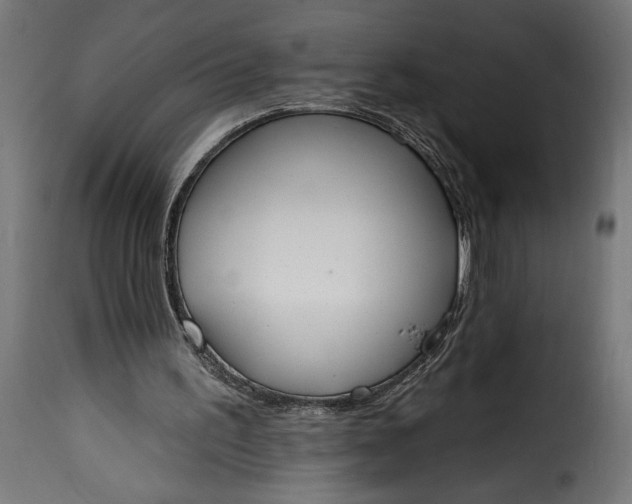 X0000115630195200911241654