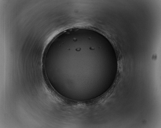 X0000115630196200911241654