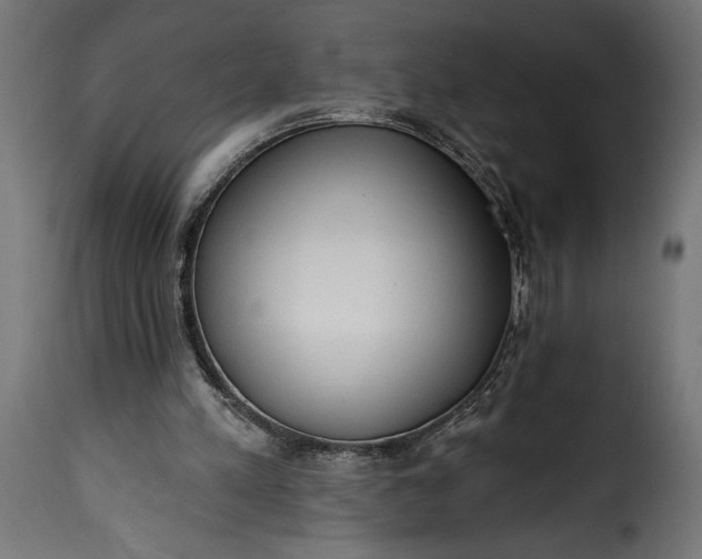 X0000115630197200911241654