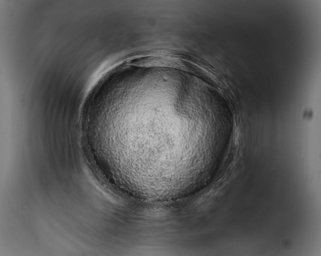 X0000115630198200911241654