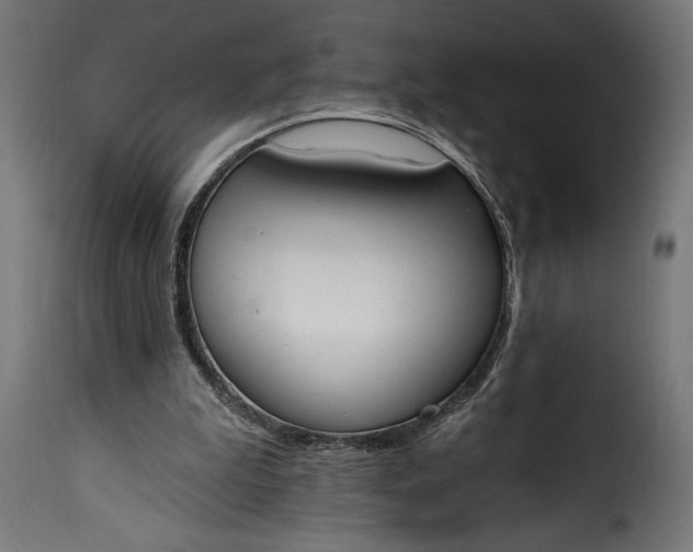 X0000115630199200911241654