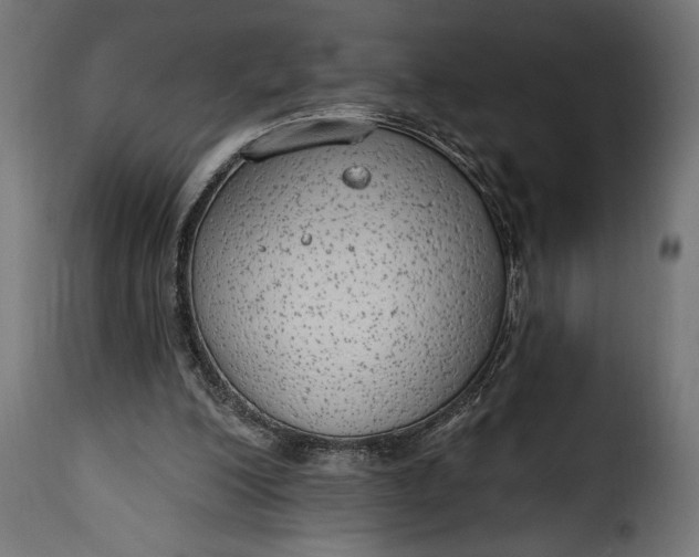 X0000115630200200911241654